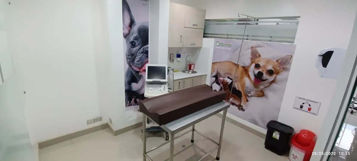 Clinica Veterinaria Linares & Spa