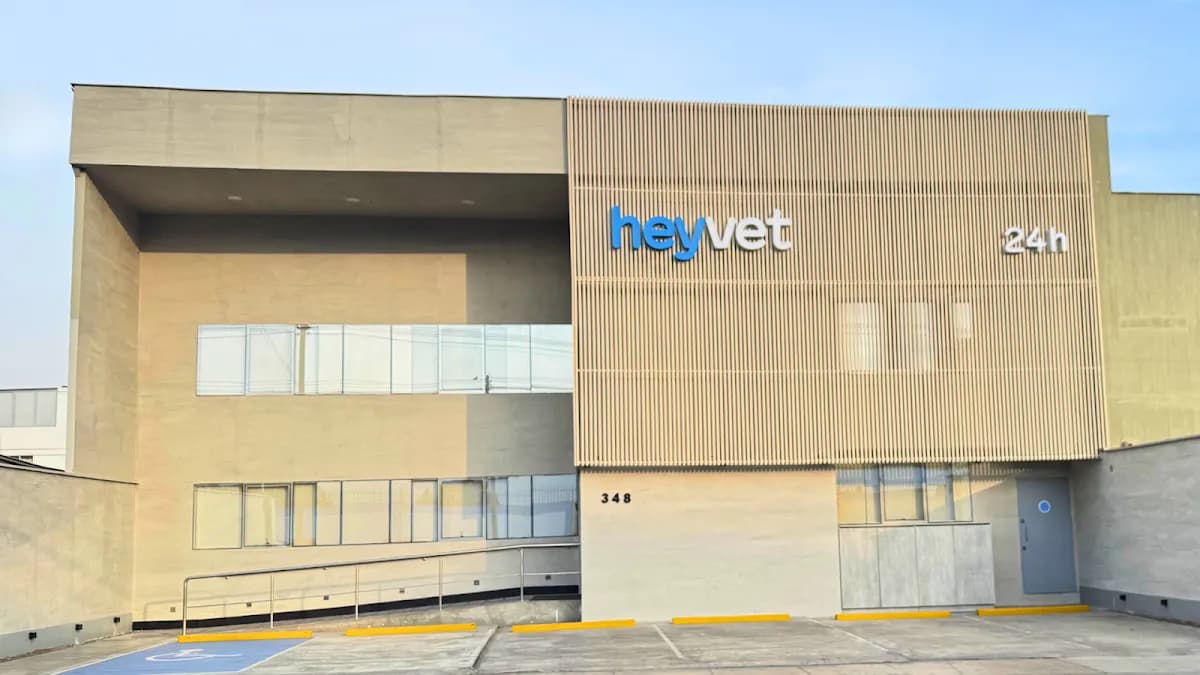 HeyVet El Polo | Veterinaria en Surco
