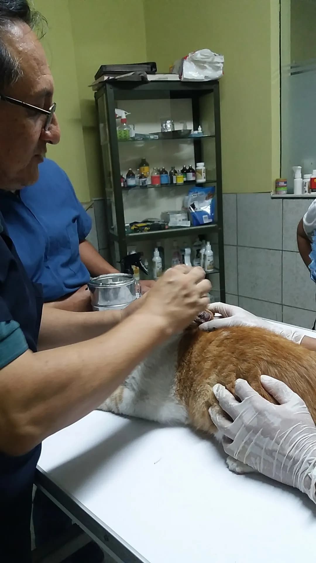Veterinaria Santa Isabel