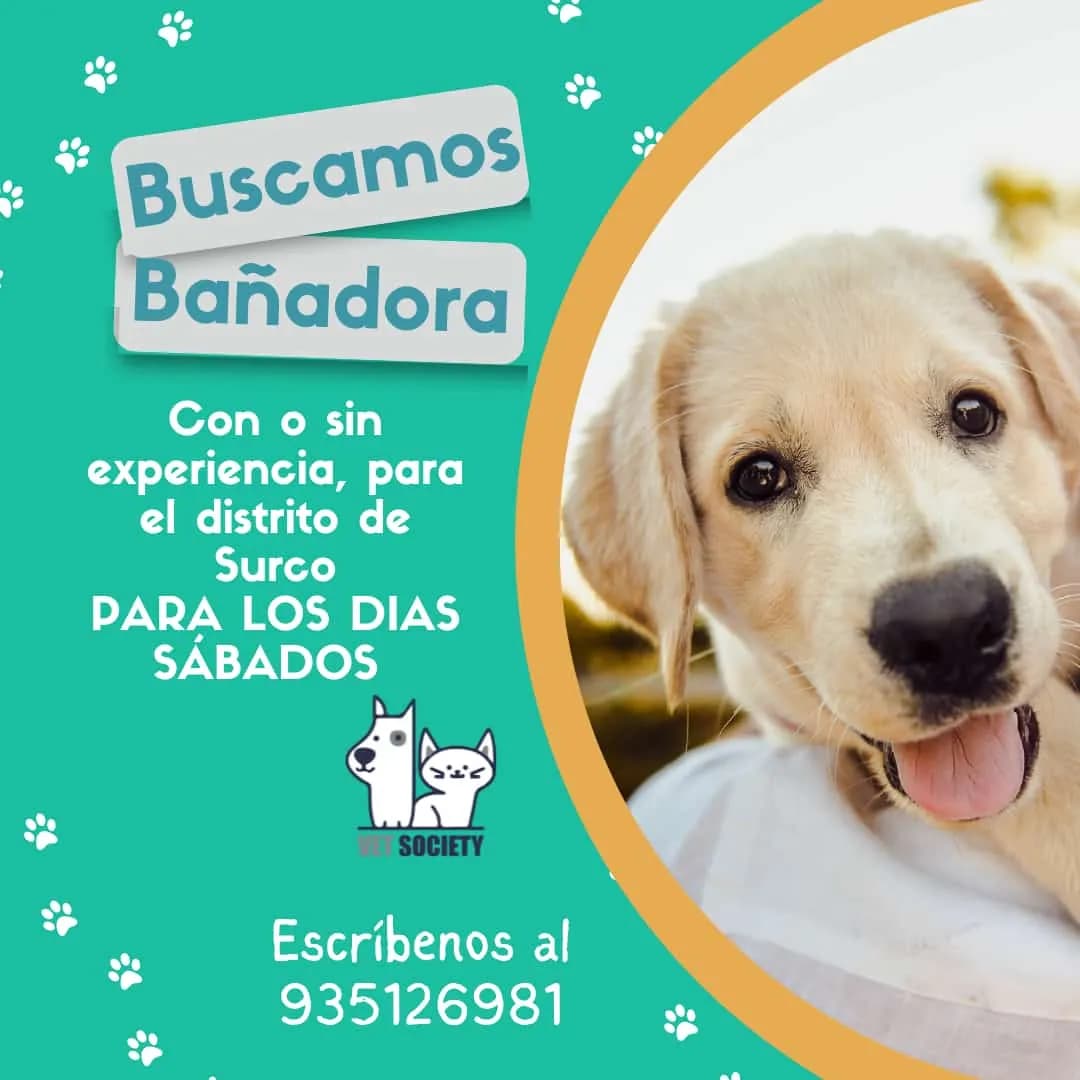 Veterinaria Vet Society