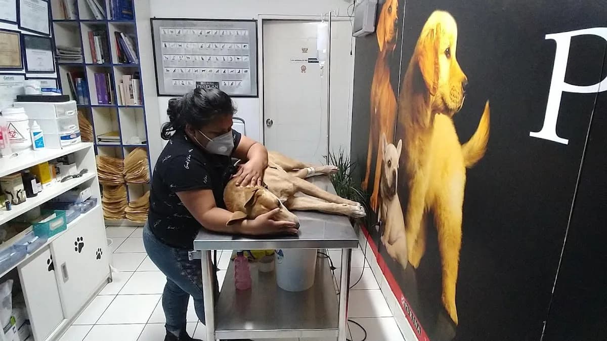 Clínica Veterinaria Prado
