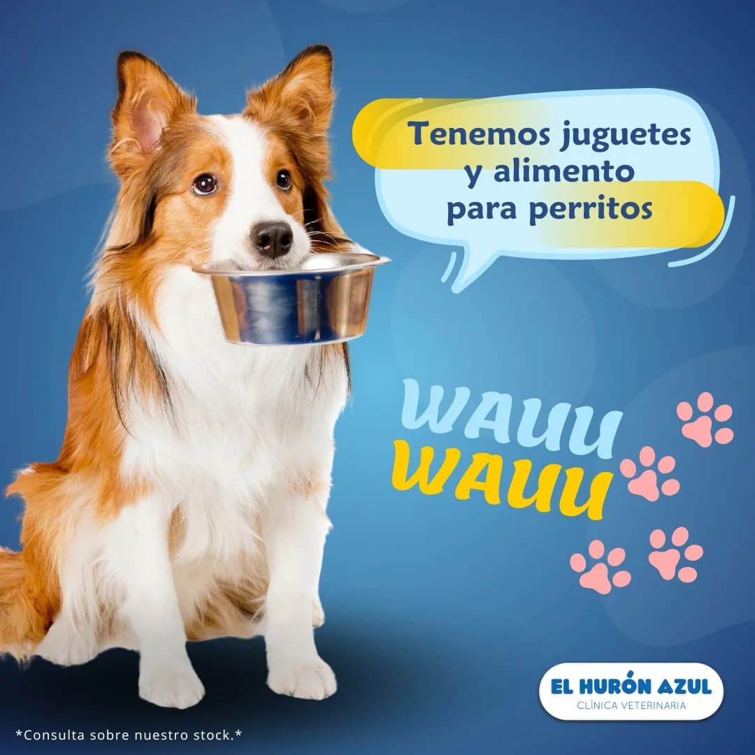 El Hurón Azul Clínica Veterinaria Sede Los Olivos