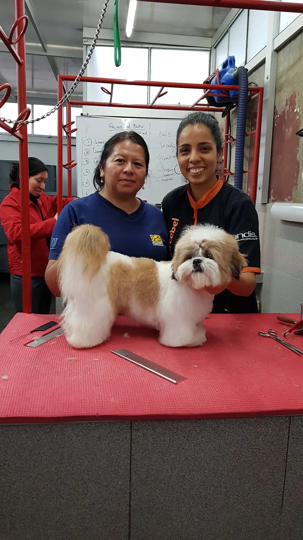Clínica Veterinaria Hernández