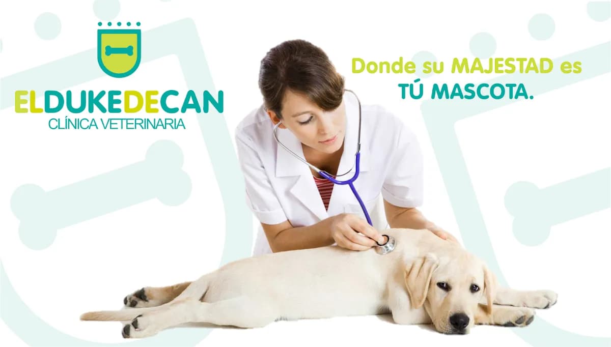 ELDUKEDECAN Veterinaria Sede Primavera