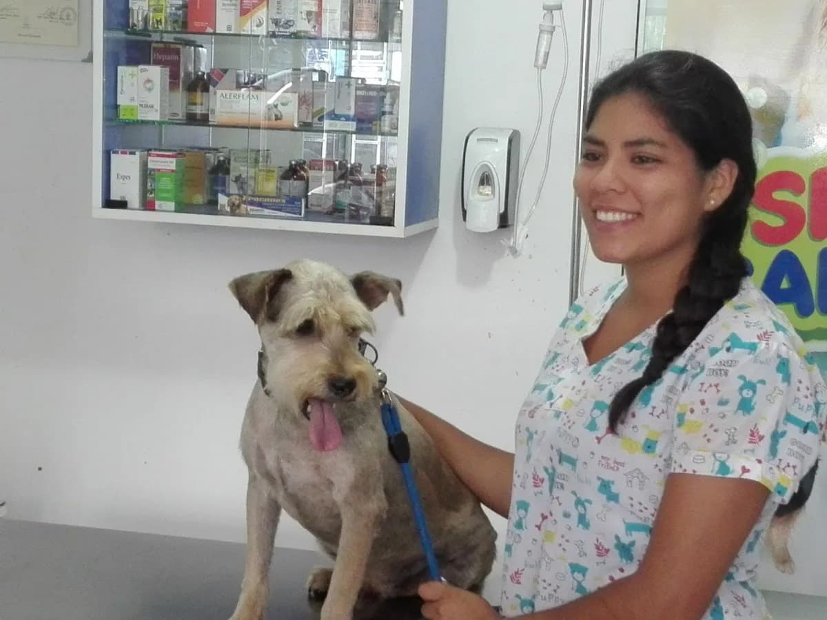 Centro veterinario PATASLANDIA