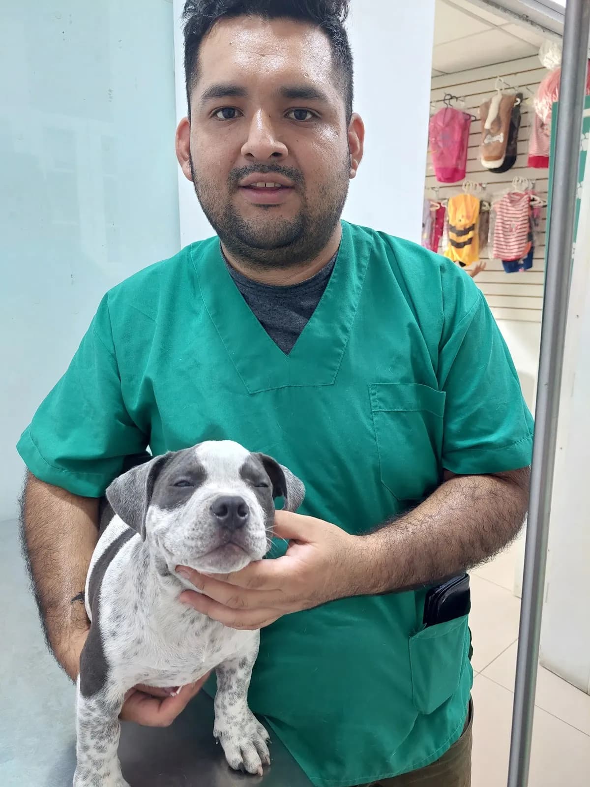 VETERINARIA MI MASCOTA FELIZ SEDE SAN JUAN DE MIRAFLORES