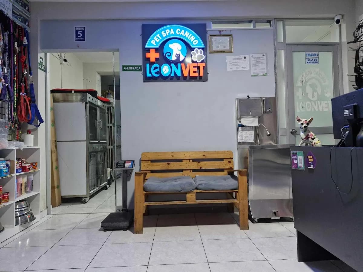 LEONVET - clinica veterinaria pedregal Majes