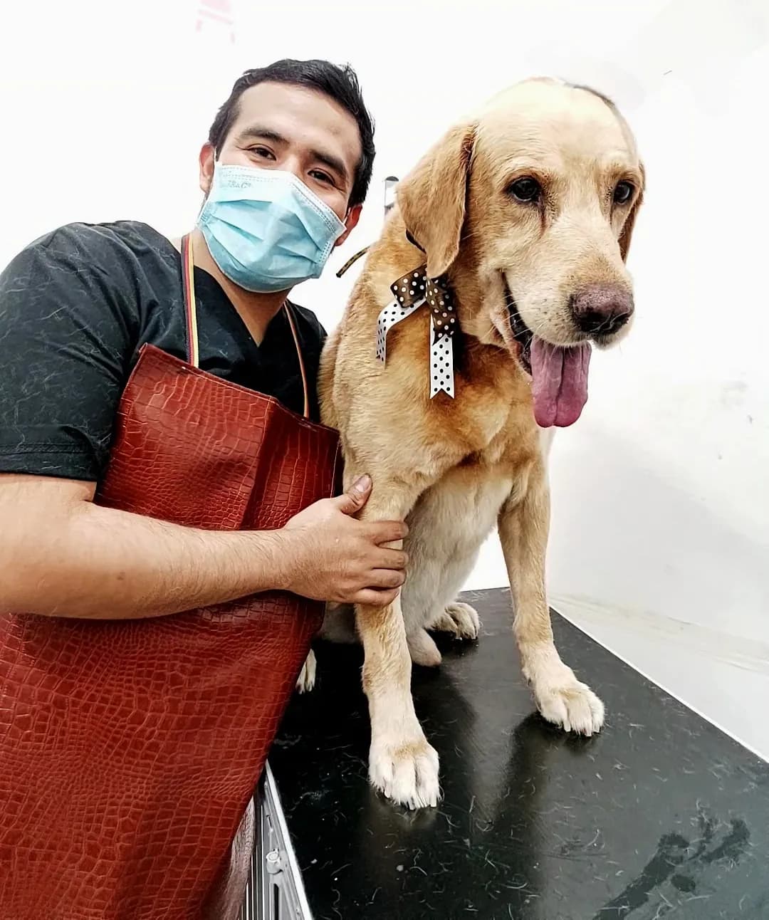 Veterinaria Animal Center Piura