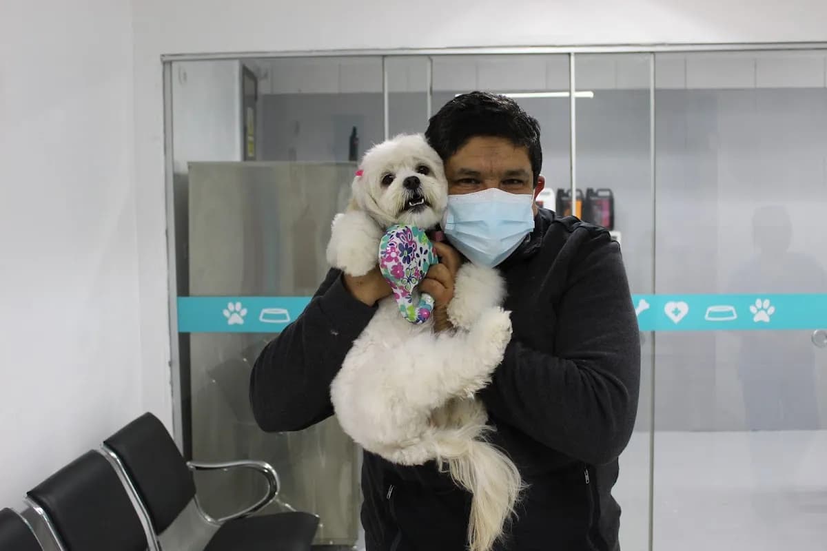 CLINICA VETERINARIA CLINICAN
