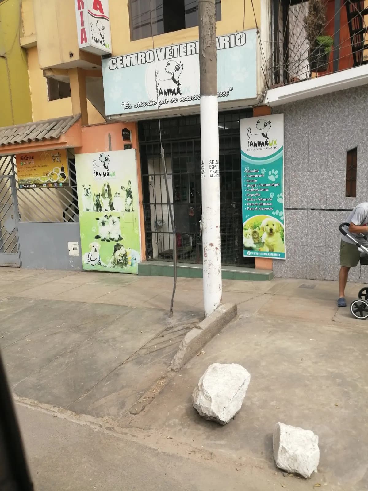 Centro Veterinario Animaux