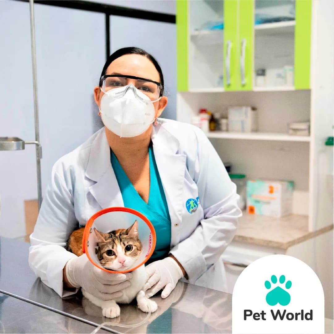 Clinica Veterinaria Pet World