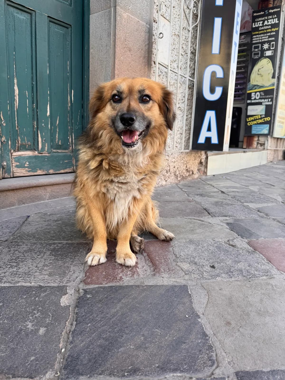 Casa de las mascotas (Clínica - Pet Shop)