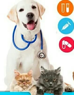 Veterinaria Santa Fé