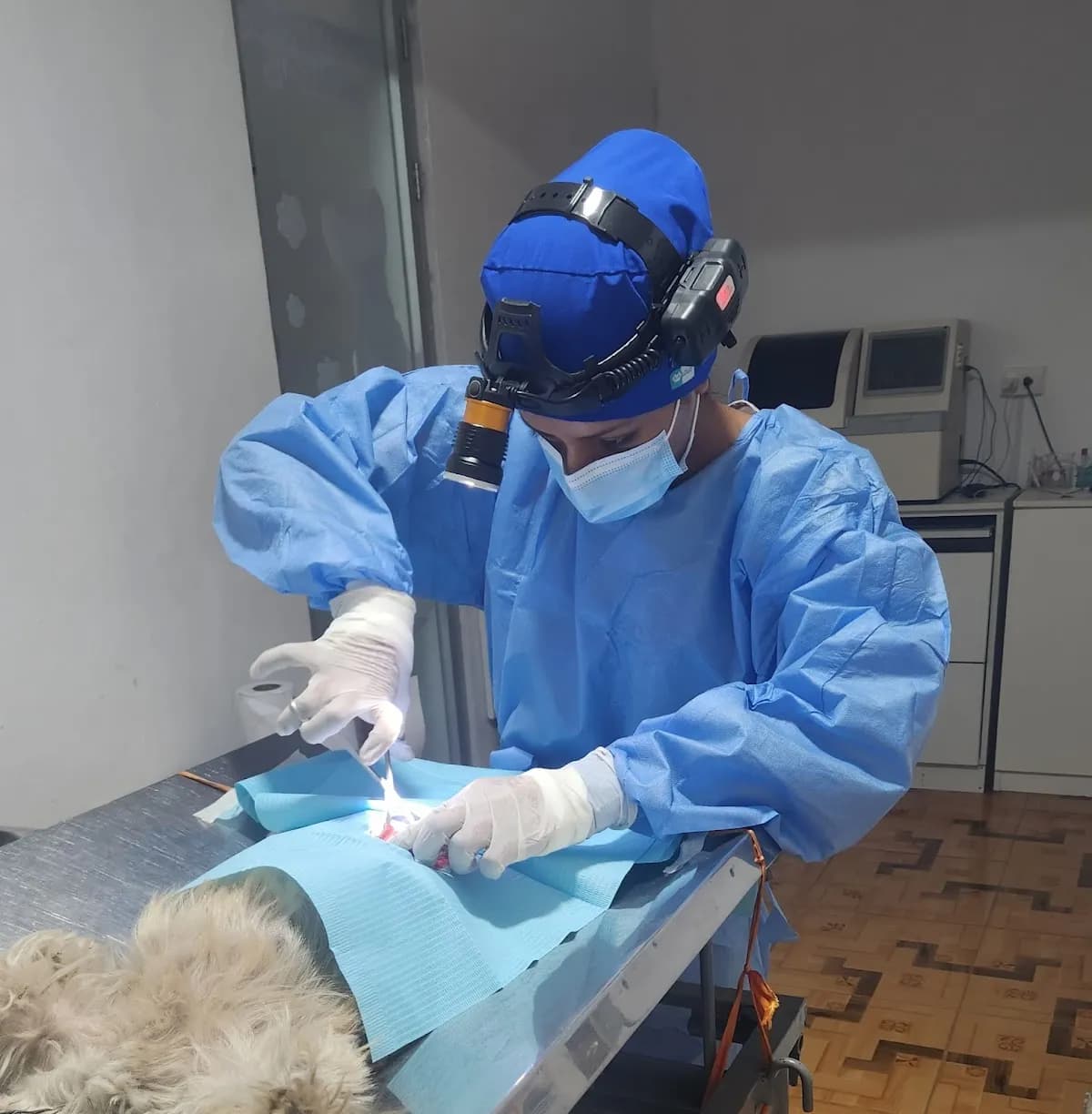 Centro Médico Veterinario Lucho's Pets - BERLÍN