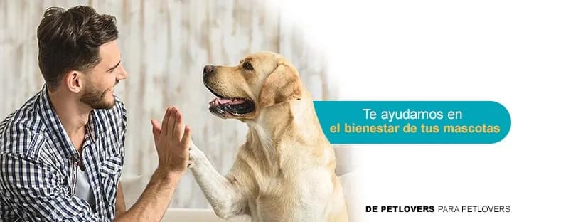 Veterinaria Bodo's Pets