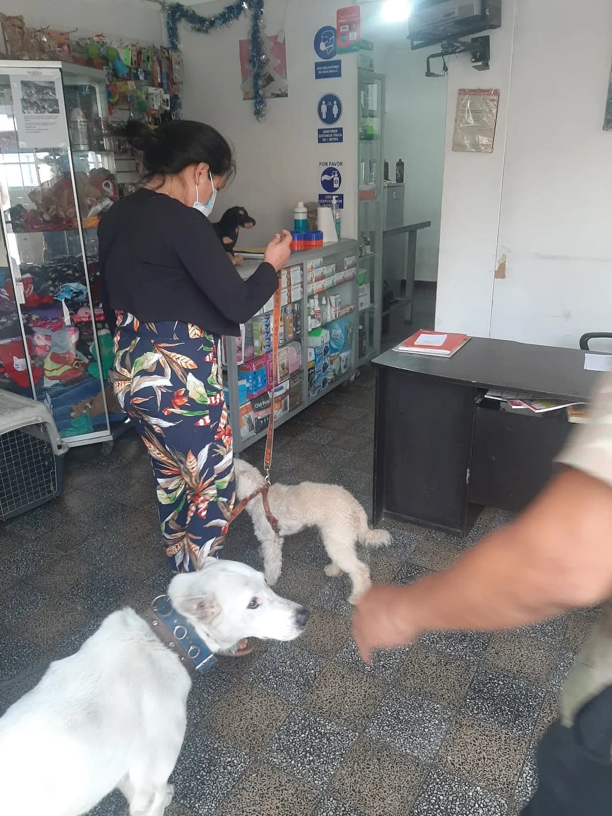 Dogs & Cats Clinica Veterinaria