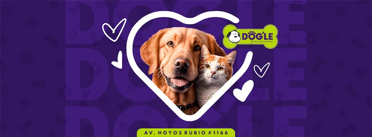 DOG'LE Clínica y Spa Veterinario