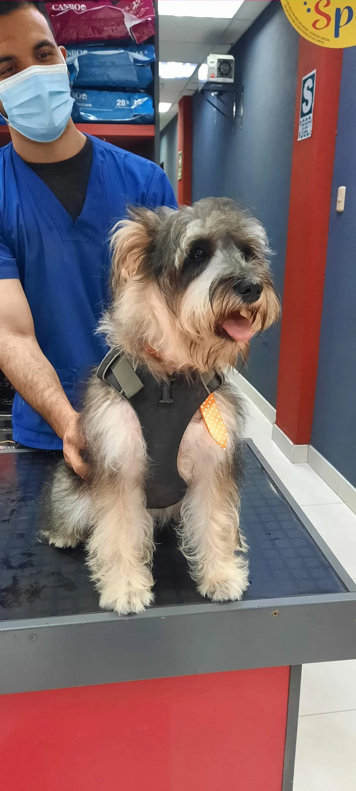 Clínica Veterinaria Pet Center - Lince