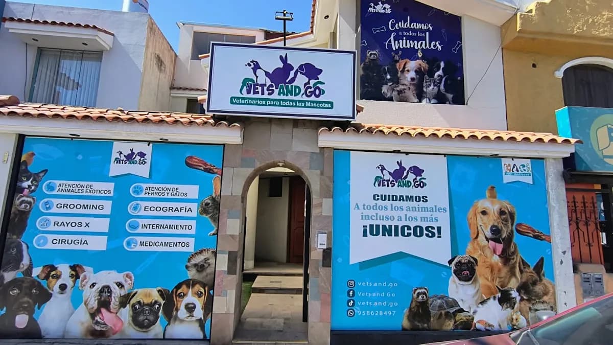 Vets and Go Clínica Veterinaria