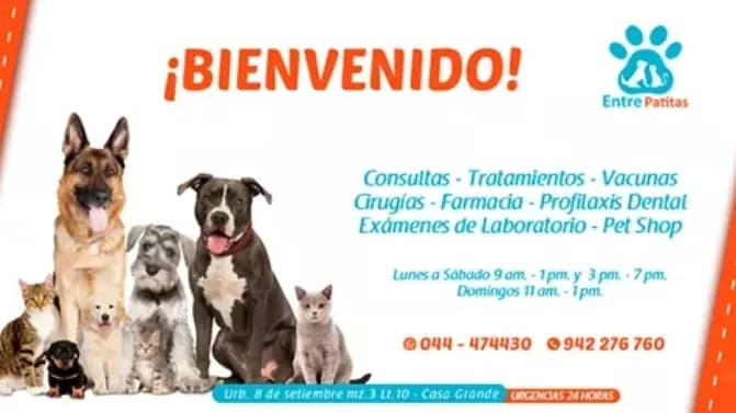 Entre Patitas