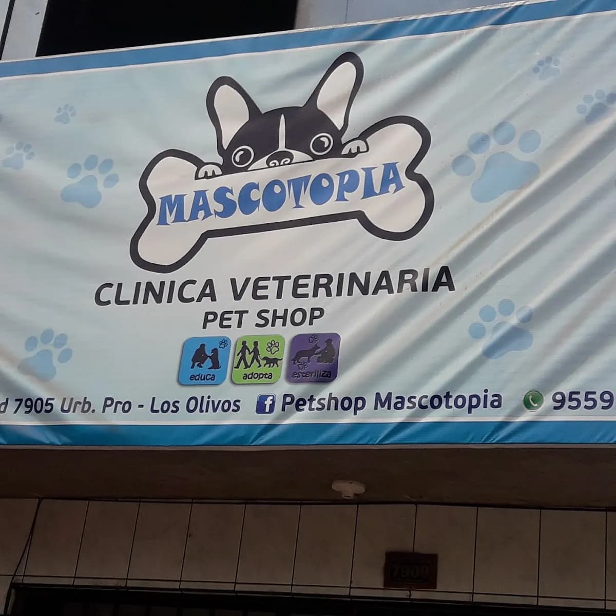 Petshop Mascotopia