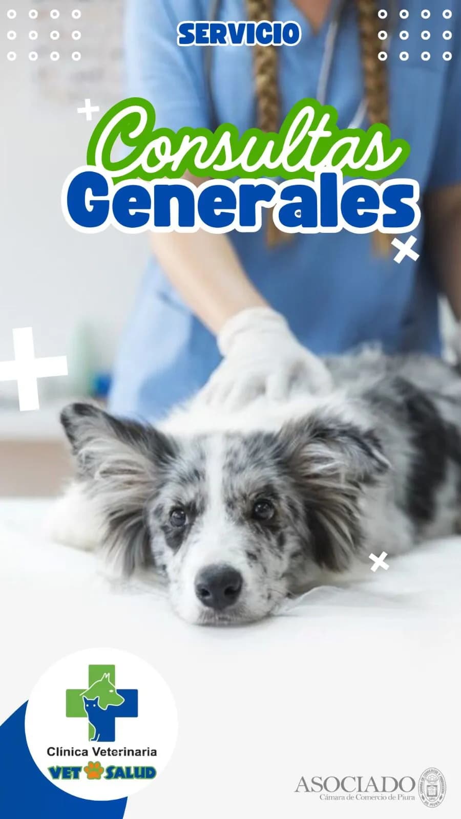 VETSALUD ADVANCED PET CARE