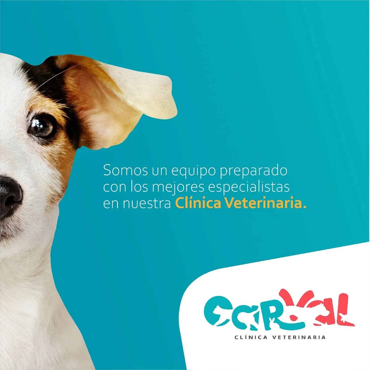 Veterinaria Car-Val santa clara