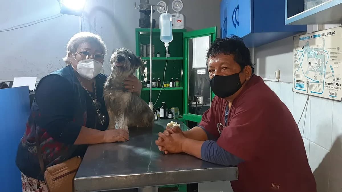 Clinica Veterinaria Rpm