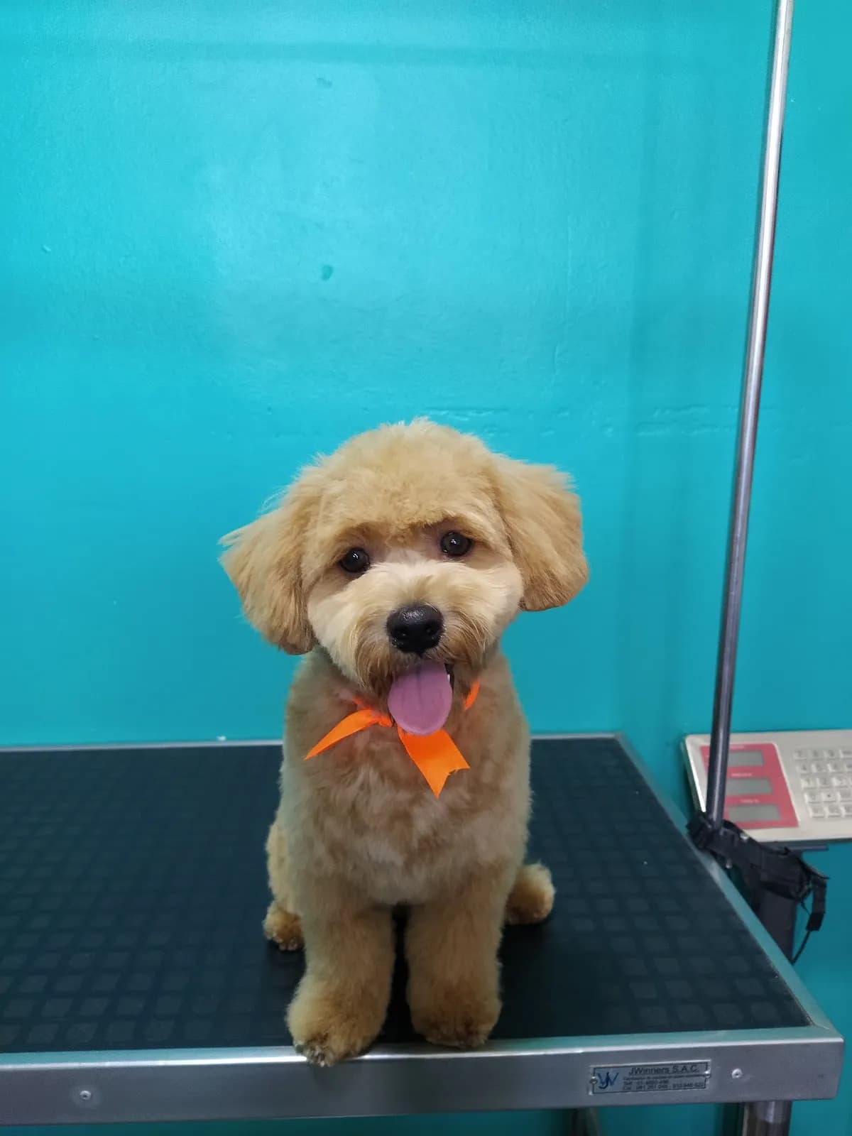 Veterinaria Dulce Pet EIRL