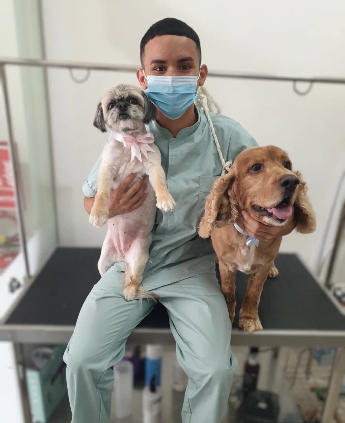 Mascotandia Veterinaria
