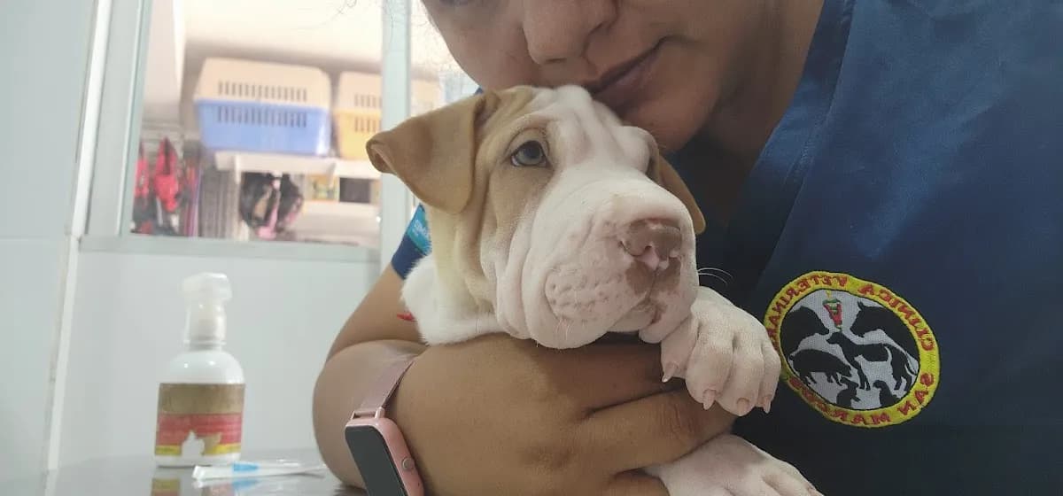 Clínica Veterinaria San Marcos de Pucallpa información