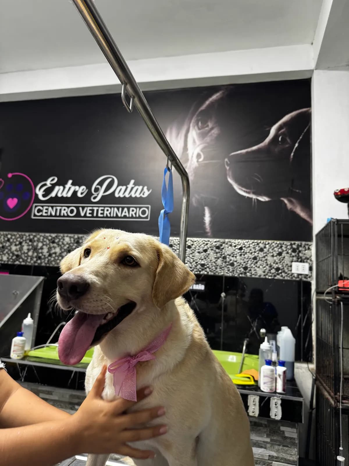 CENTRO VETERINARIO ENTRE PATAS