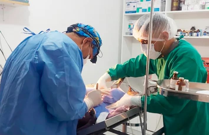 Clínica Veterinaria Carbajal