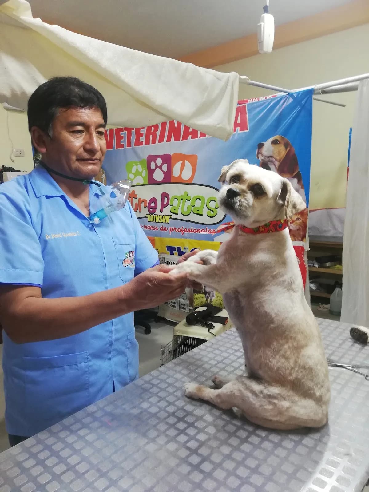 Veterinaria Entre Patas
