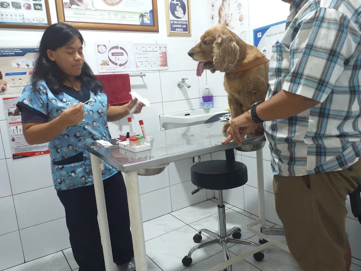 Clínica Veterinaria Mi Cachorrito Retablo