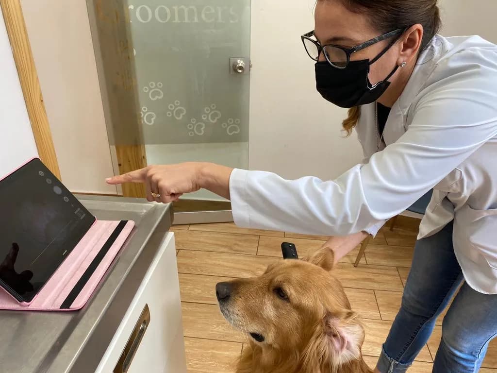 DermaVet - Miraflores - Dermatologia Veterinaria - Mv. Esp. Dra. Yanaisa Millares