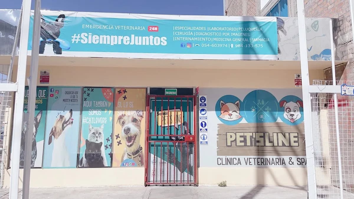 CLINICA VETERINARIA PETS LINE