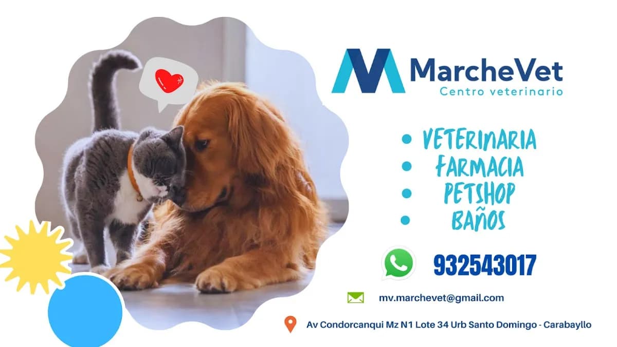 Centro Veterinario MarcheVet