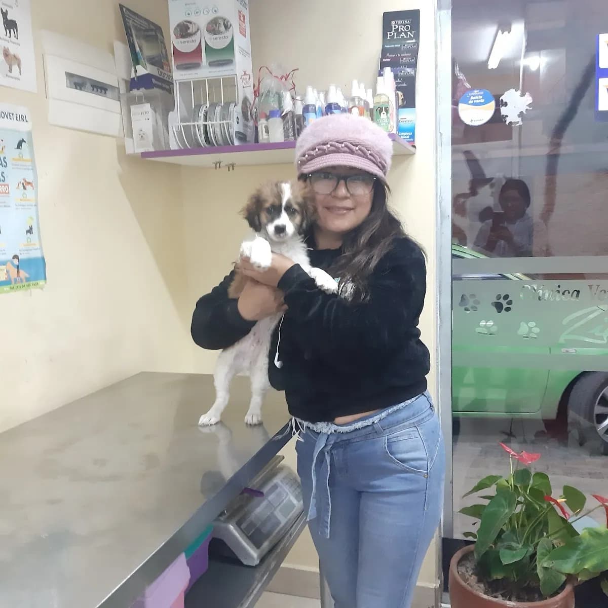 Clínica Veterinario Zid