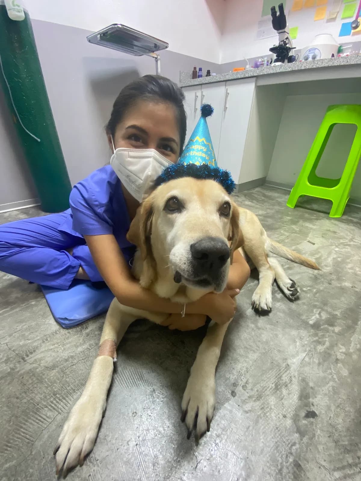 Clínica Veterinaria Proyecto Pet - FEAR FREE (Urgencias Diurnas )