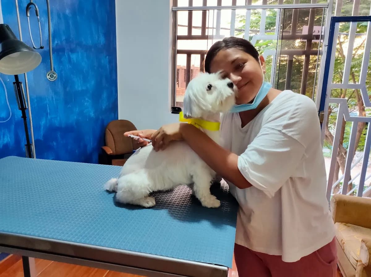Animales Fántasticos Pet Shop &Vet