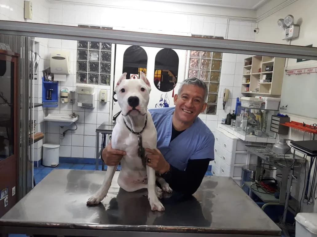 Veterinaria Orbegoso San Isidro