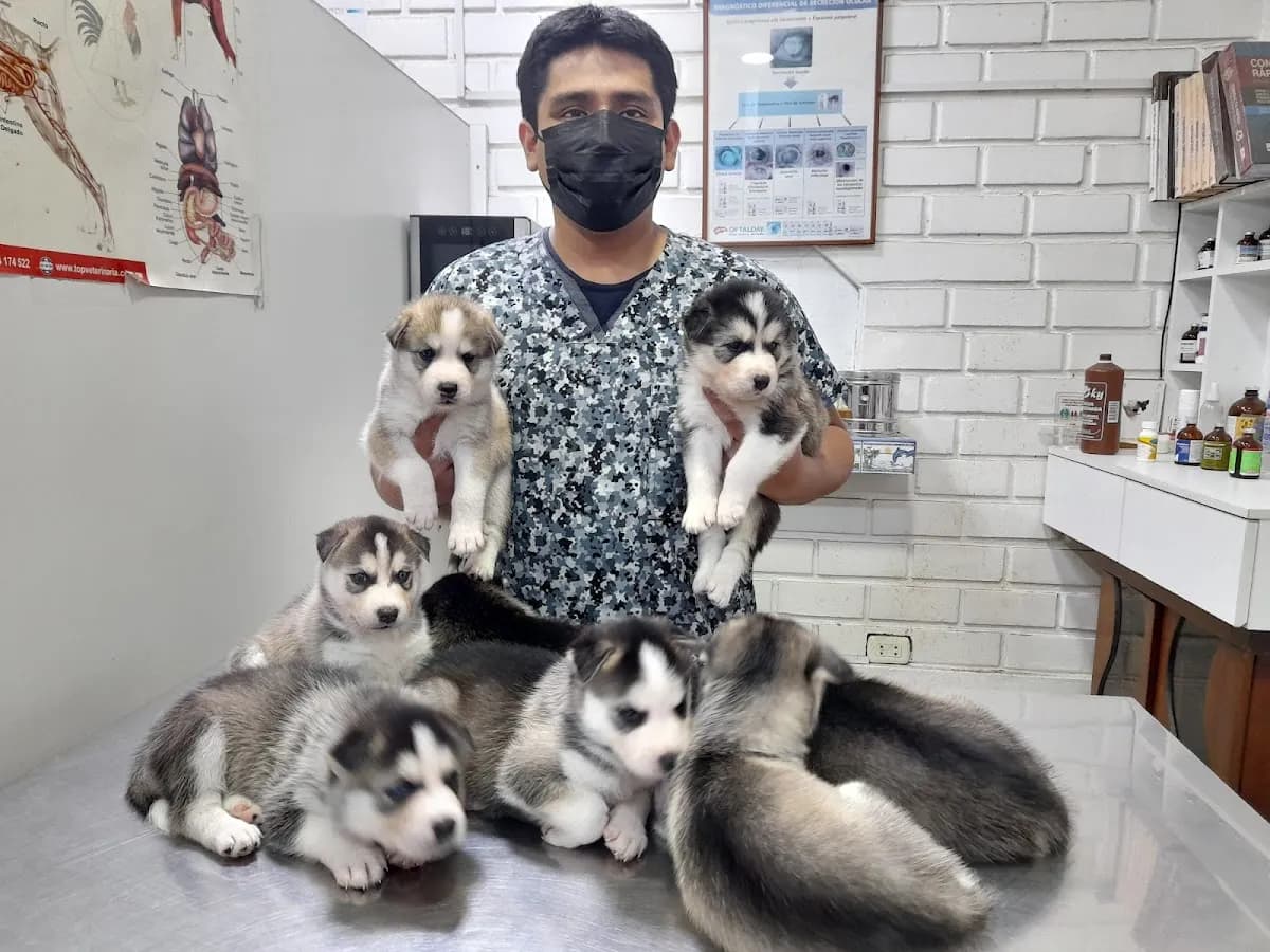 Veterinaria Widi Sede San Juan de Lurigancho