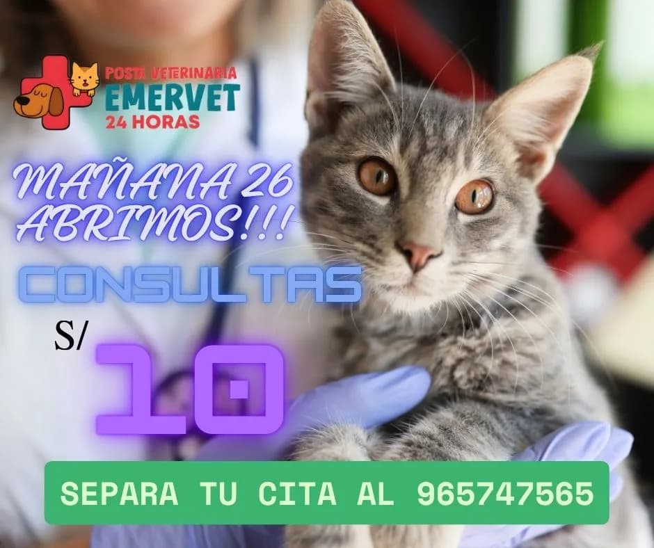 Posta Veterinaria Emervet