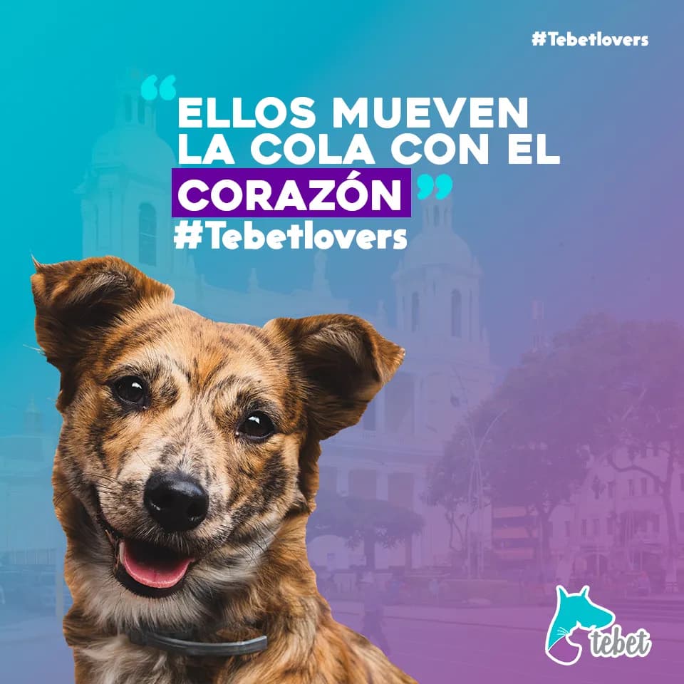 Veterinaria & Estética “Tebet”