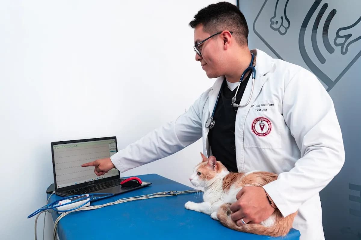 RADIOVET “Centro de diagnóstico por imágenes Veterinario”