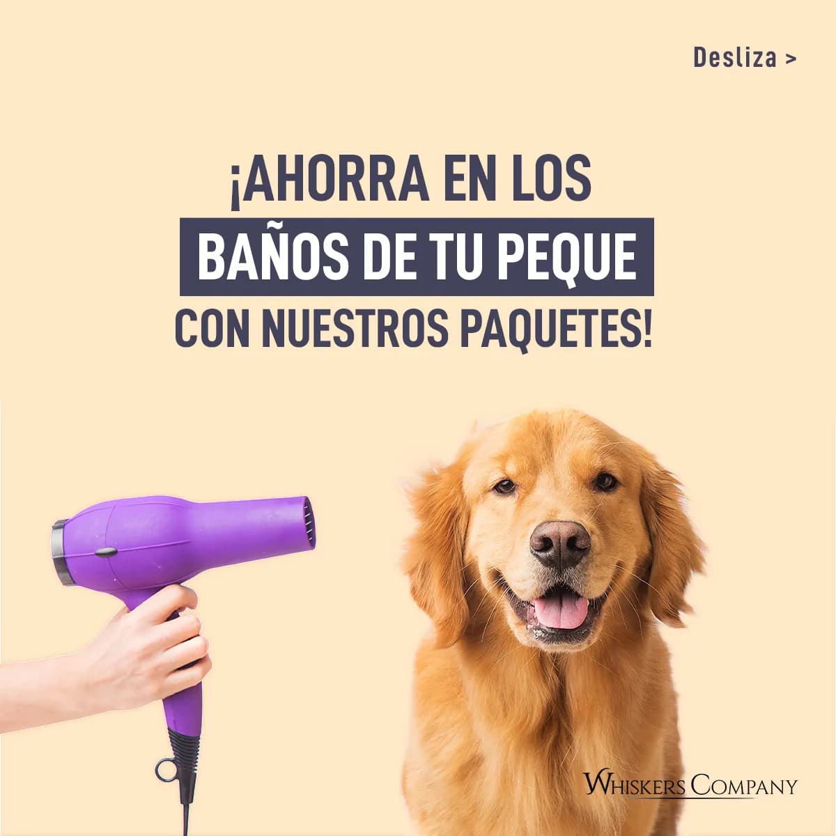 Wisko Veterinaria & Pet Salon