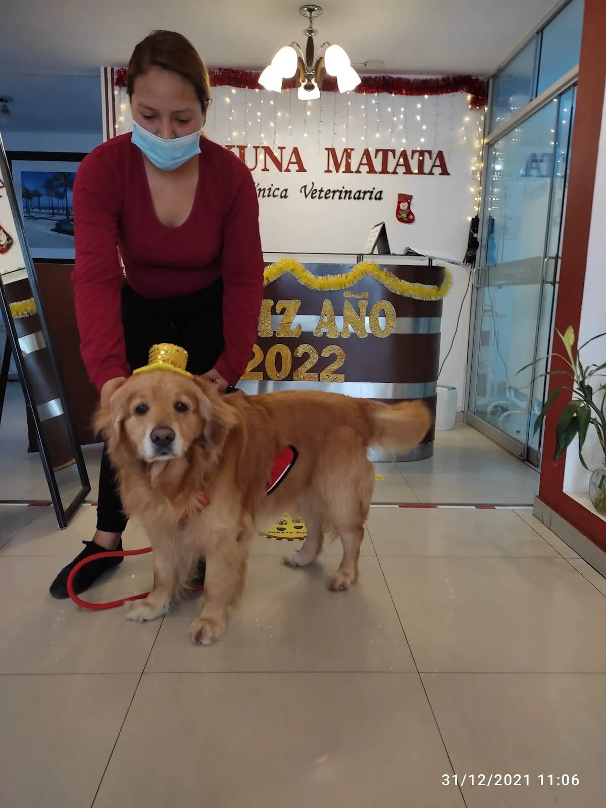 Clínica Veterinaria Hakuna Matata Trujillo