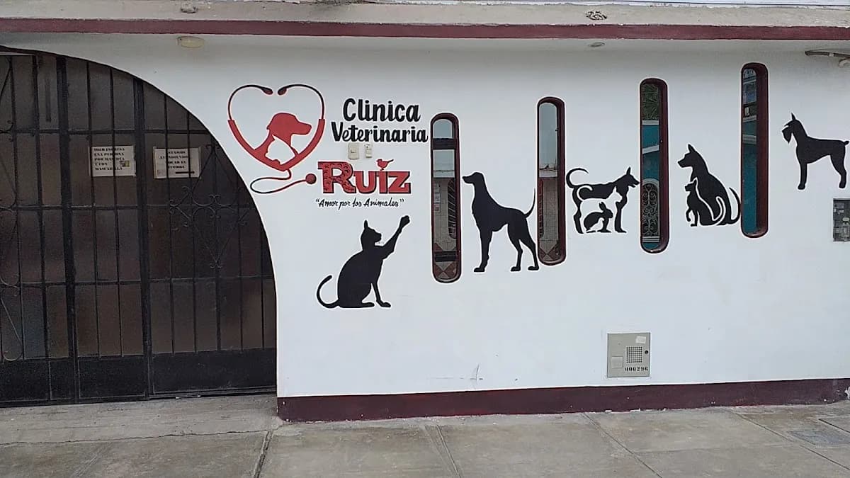 Clinica Veterinaria Ruiz - OFICIAL