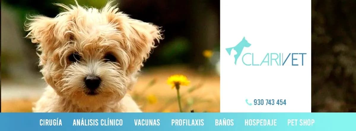 Clinica Veterinaria Clarivet